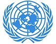 United Nations Academia, Internacional