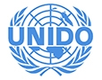 UNIDO - UN Industrial Development Organization, Internacional