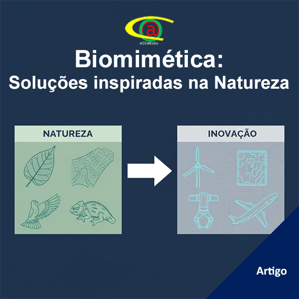 Biomimética: Soluções inspiradas na Natureza
