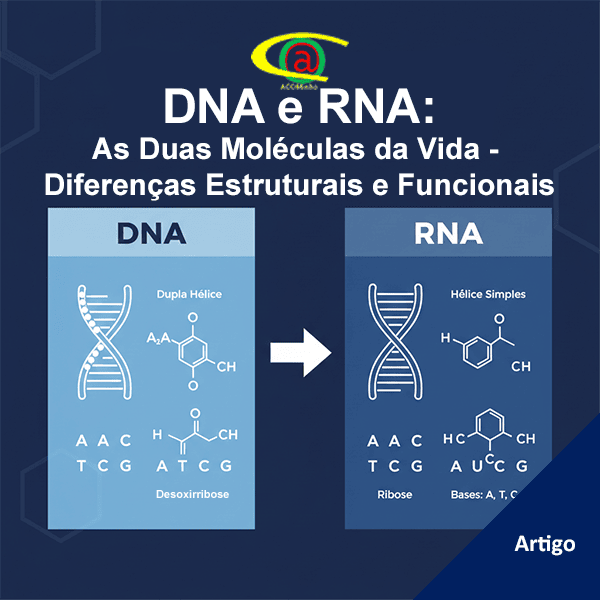 DNA e RNA: As Duas Moléculas da Vida - Diferenças Estruturais e Funcionais